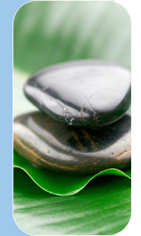 Contact Mann Partners